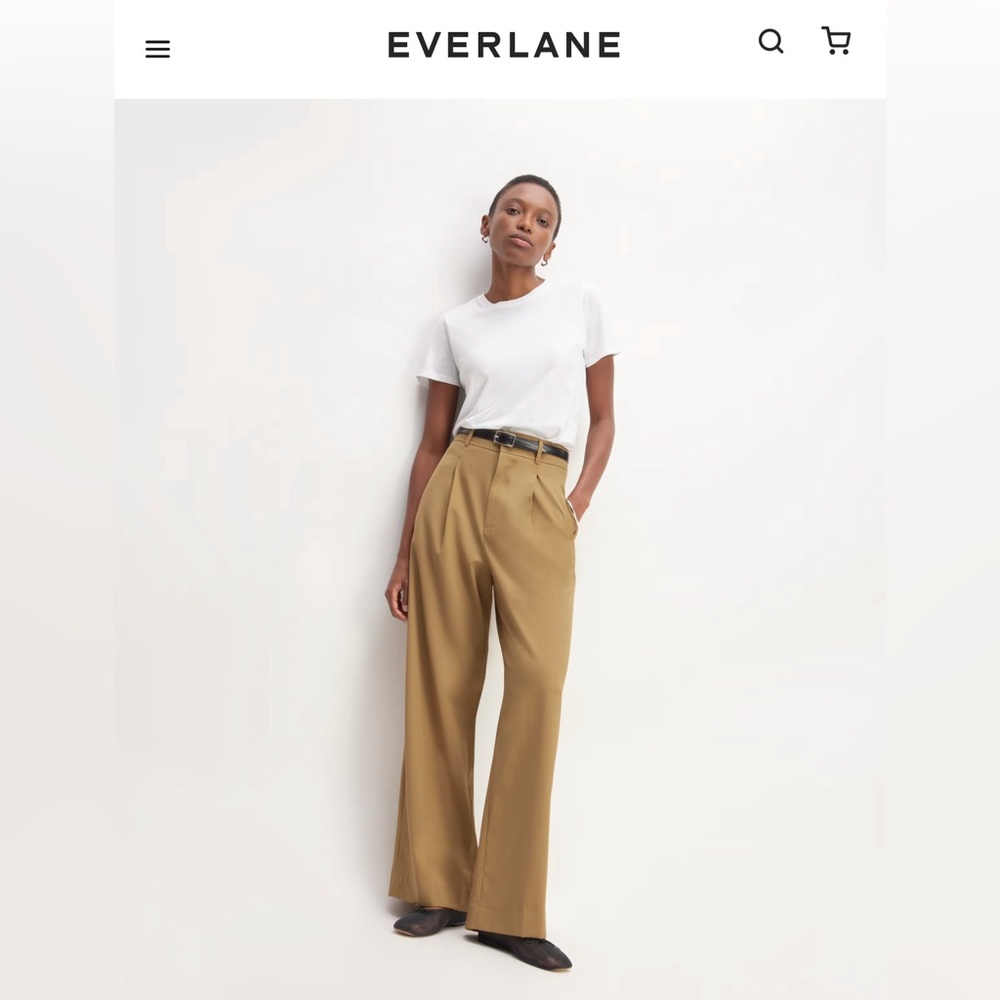 NWT Everlane The Italian Wool Way-High® Drape Pant -Size 6